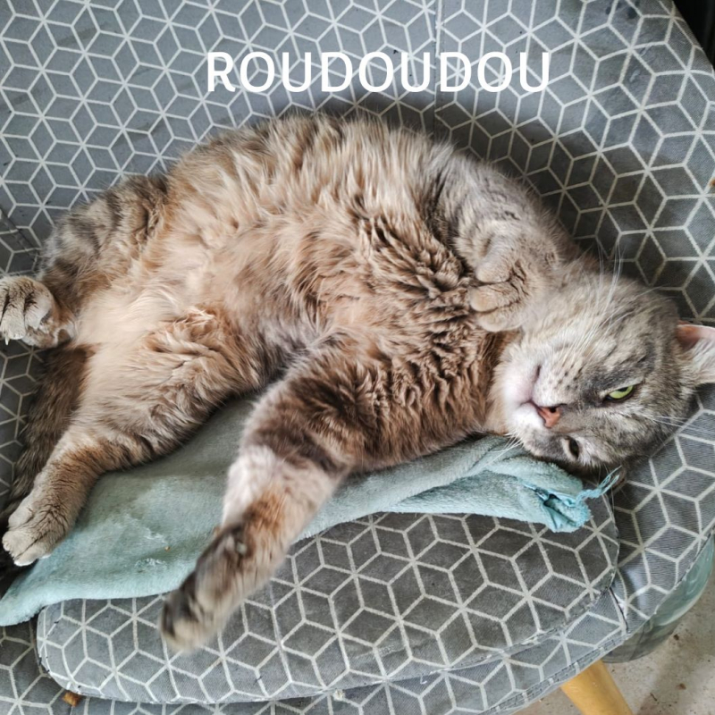 Photo #10 de ROUDOUDOU