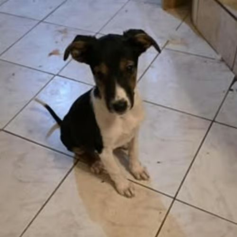 Photo #8 de AMERICANA