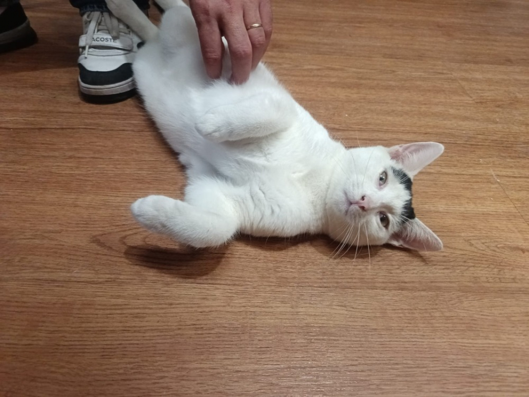 Photo #1 de Décembre