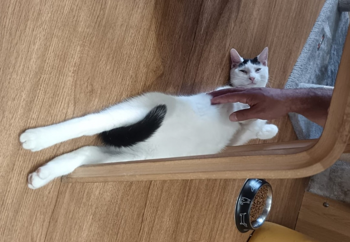 Photo #2 de Décembre