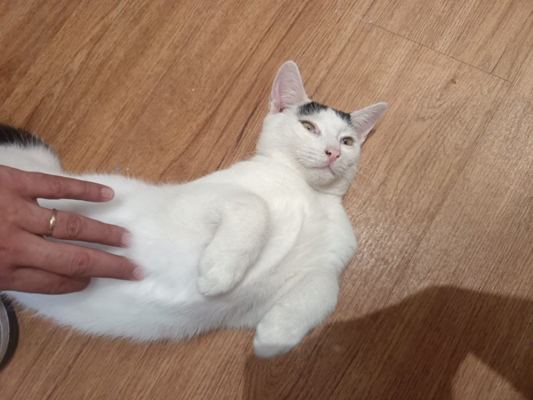 Photo #3 de Décembre