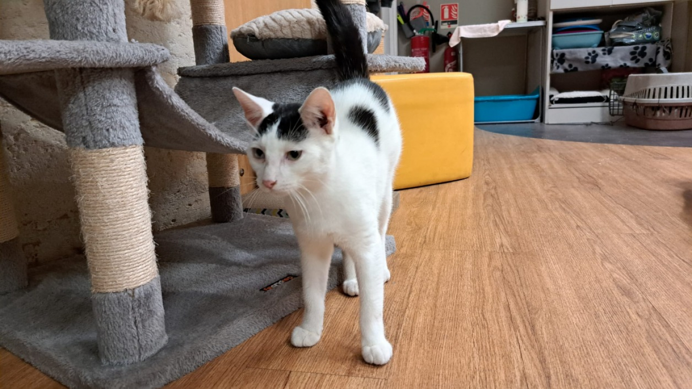 Photo #4 de Décembre