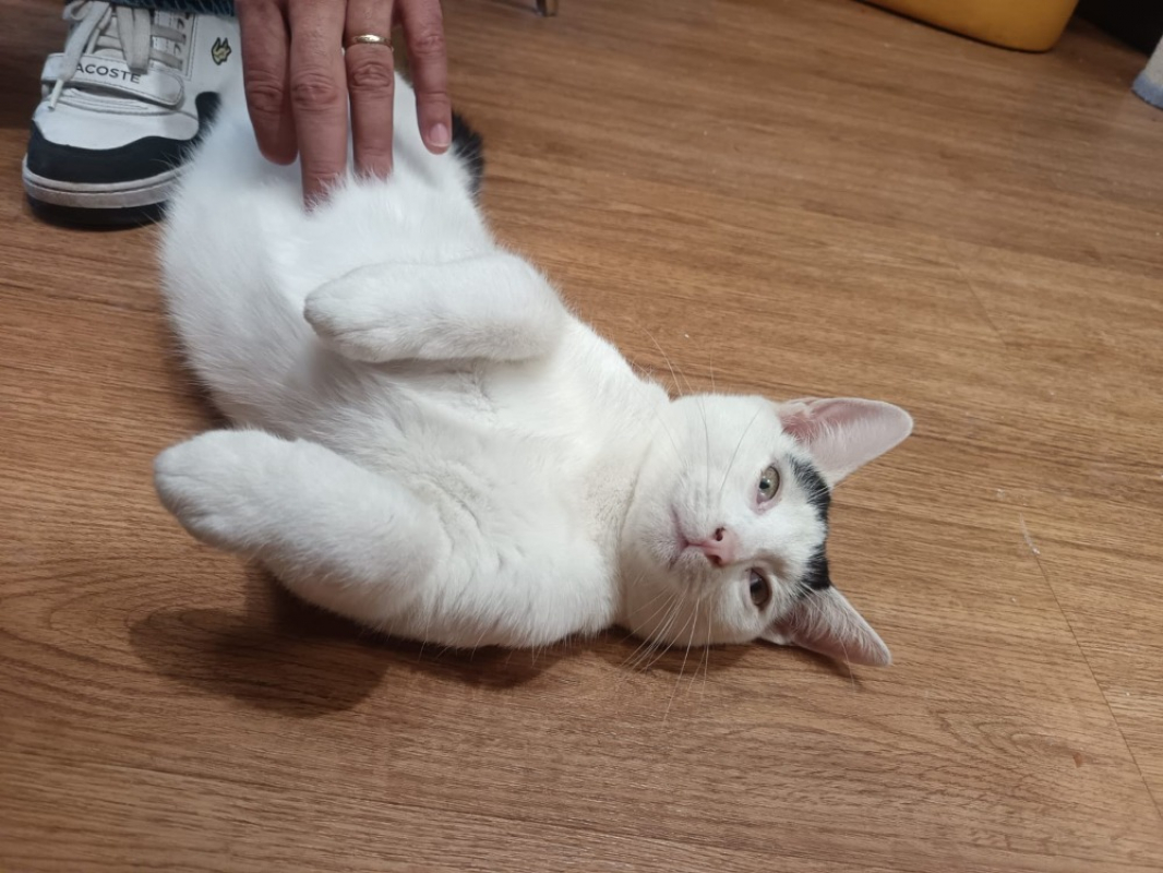 Photo #5 de Décembre