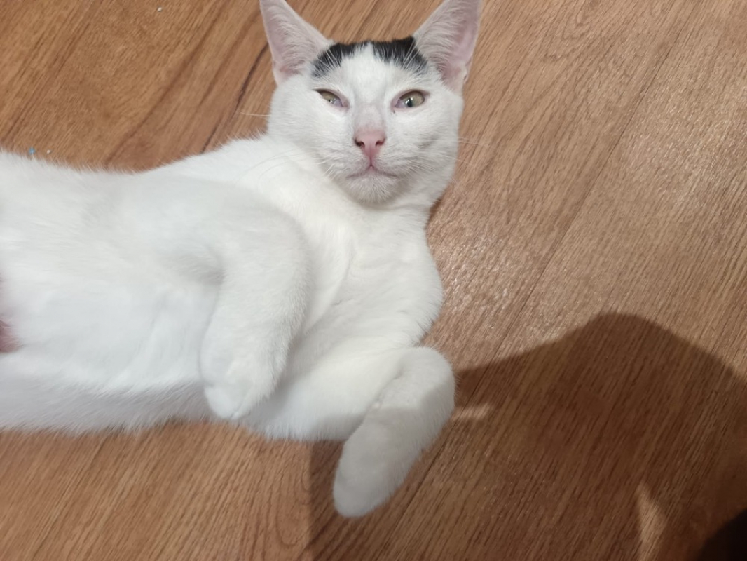 Photo #6 de Décembre