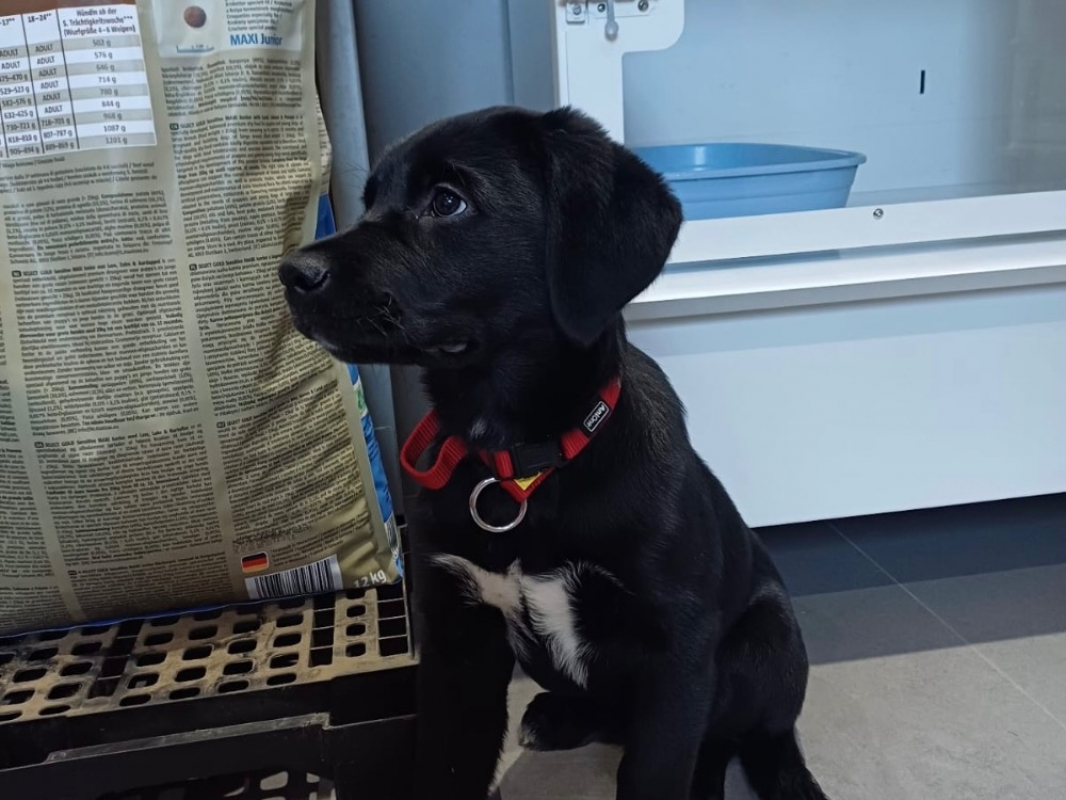 Photo #1 de Brooklyne