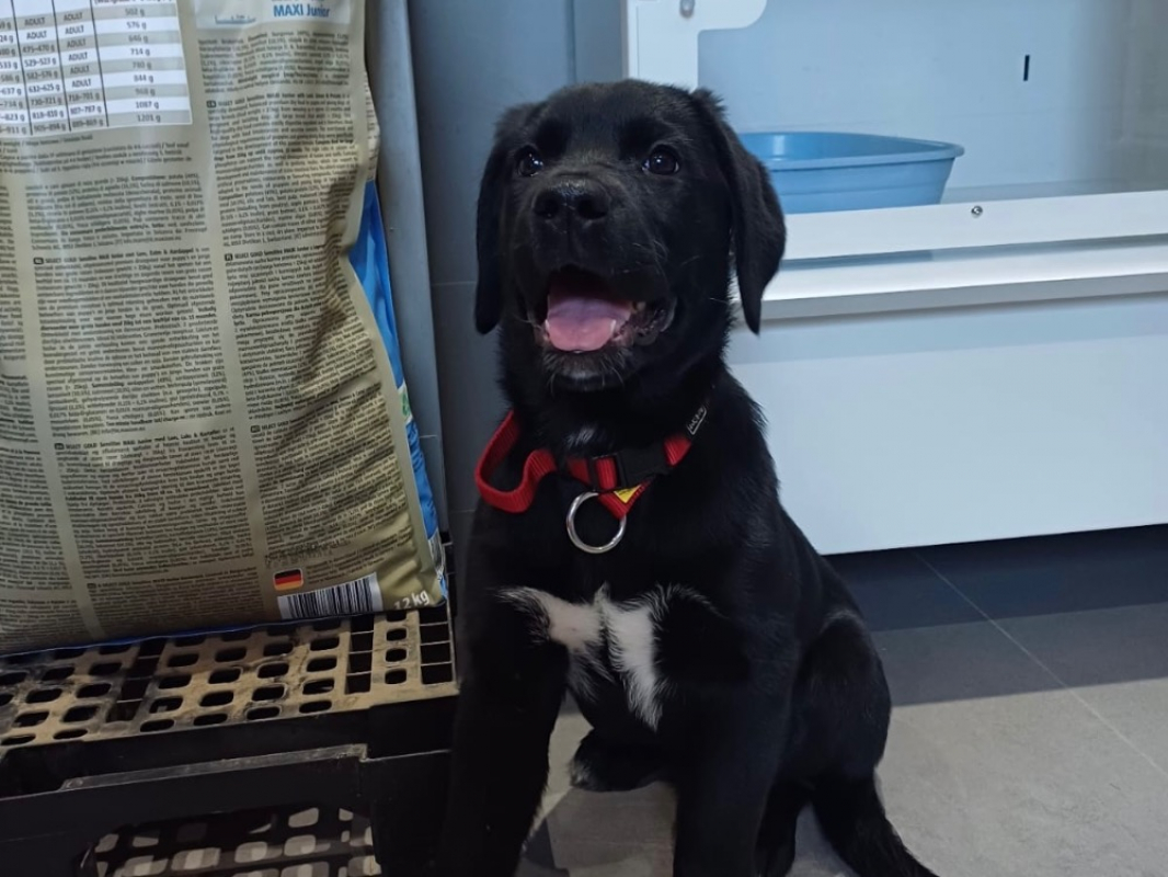 Photo #2 de Brooklyne