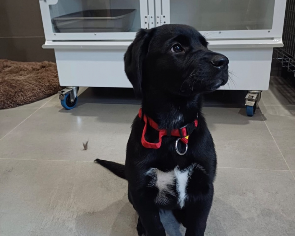 Photo #3 de Brooklyne