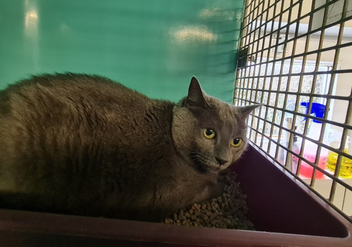 Photo de Mimie promise