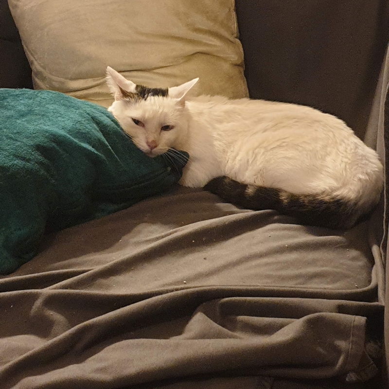 Photo de Tsuki