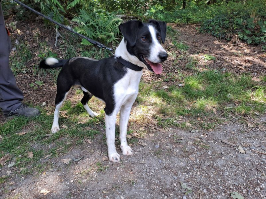 Photo #1 de Réservé bingo