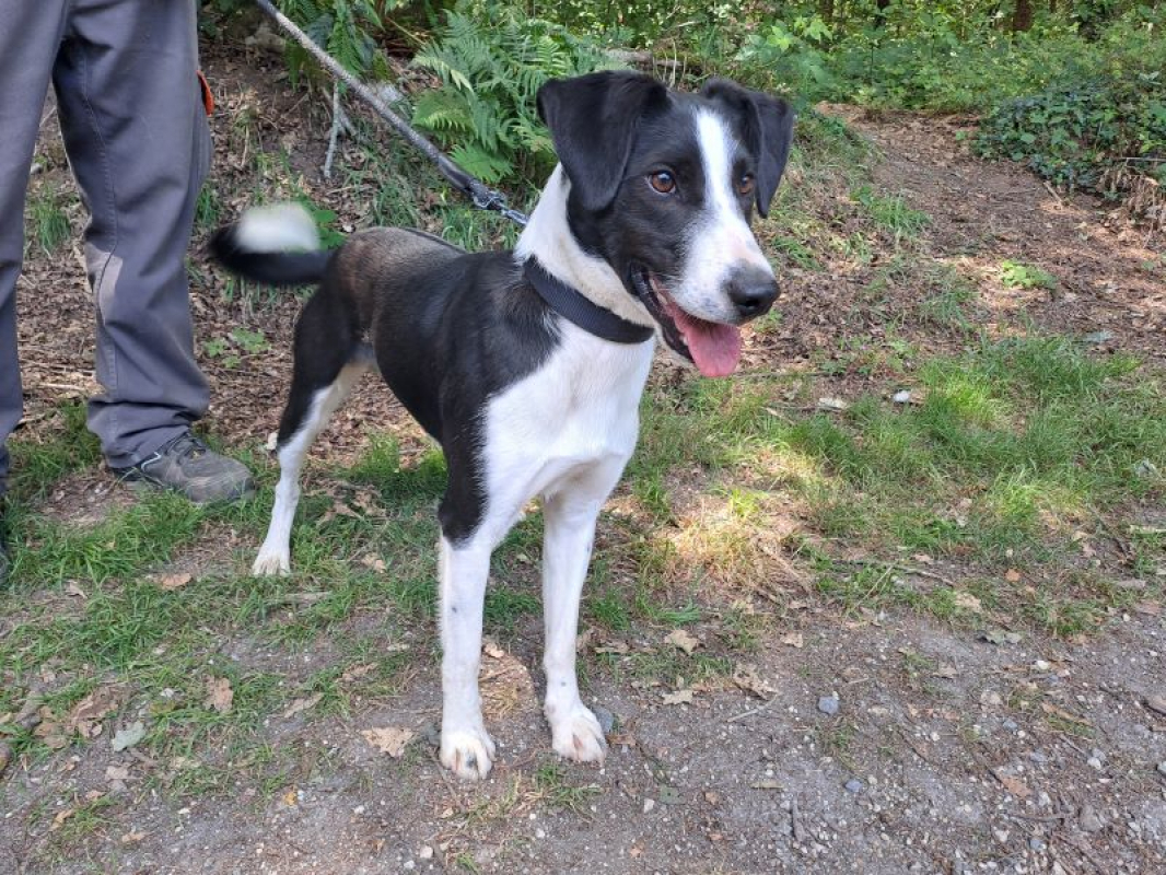 Photo #2 de Réservé bingo