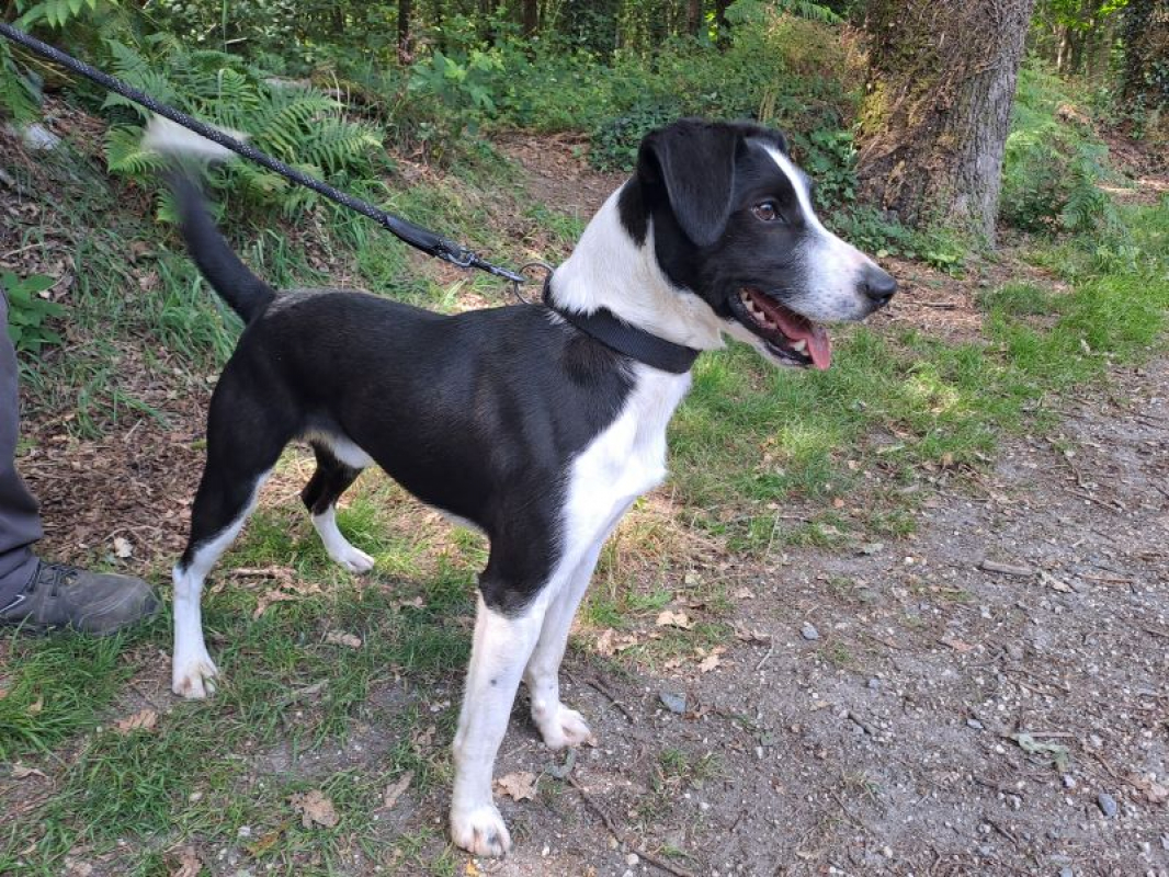 Photo #3 de Réservé bingo