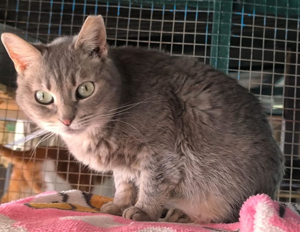 Photo #1 de Sunshine