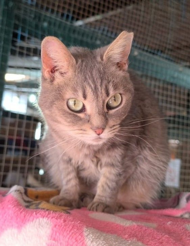 Photo #3 de Sunshine