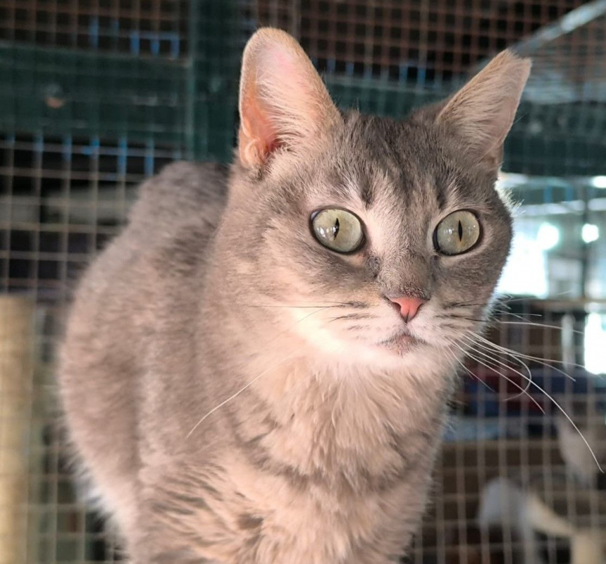 Photo #4 de Sunshine