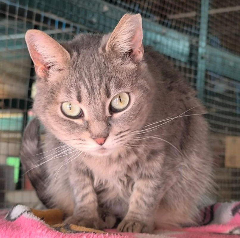 Photo #5 de Sunshine