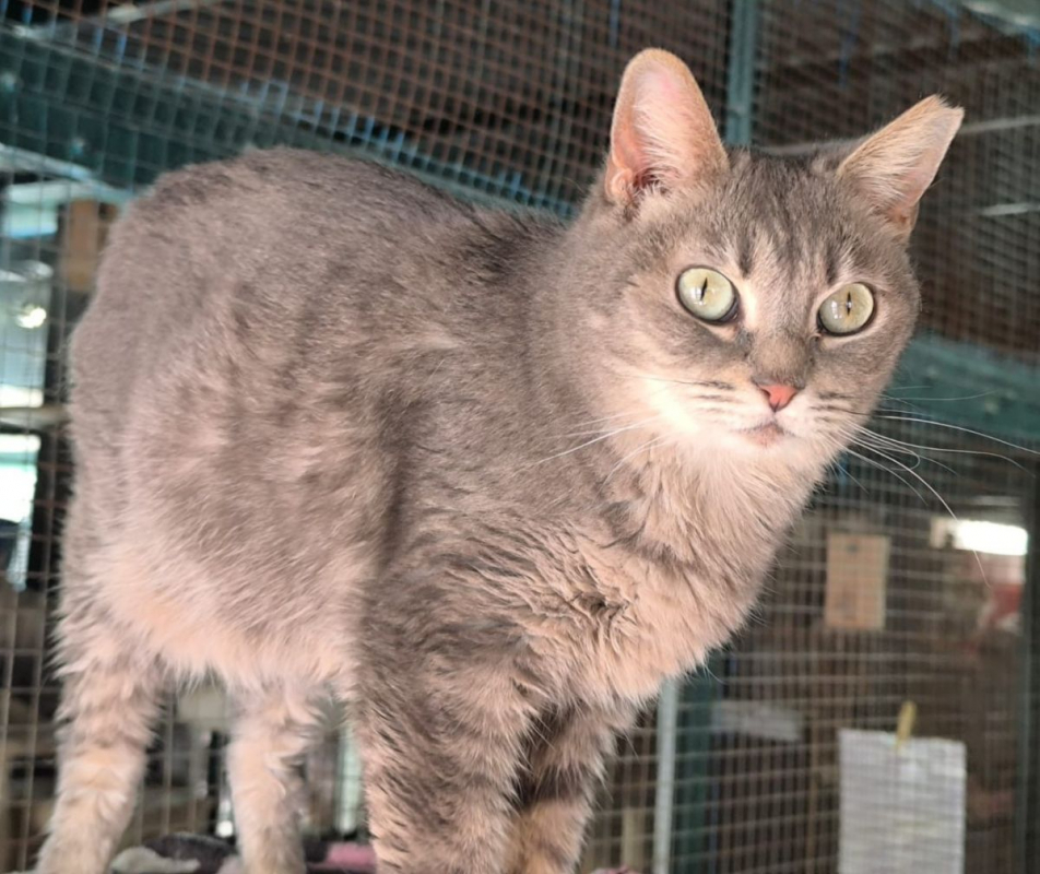 Photo #7 de Sunshine