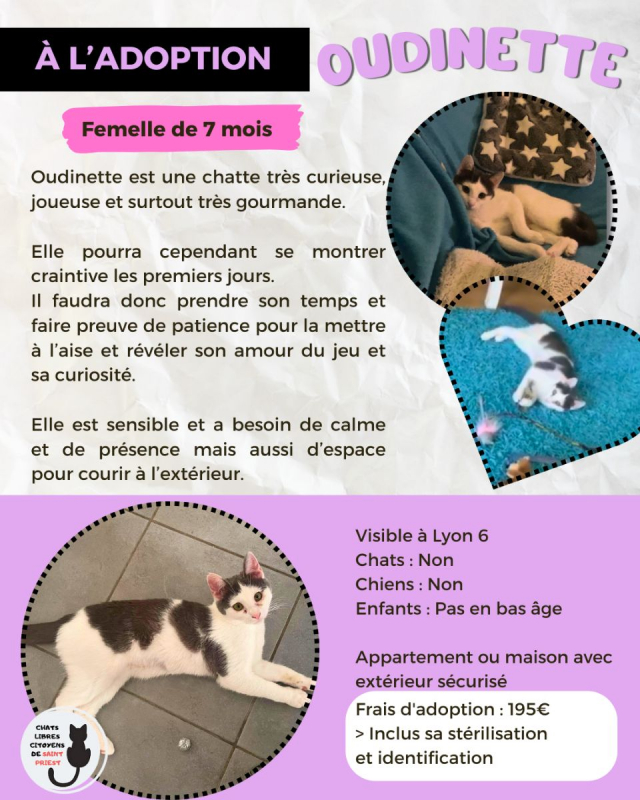 Photo #1 de Oudinette