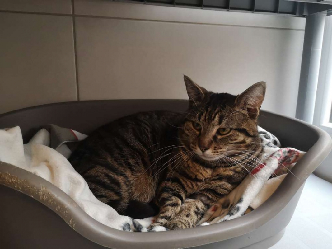 Photo #1 de Réservé biarritz