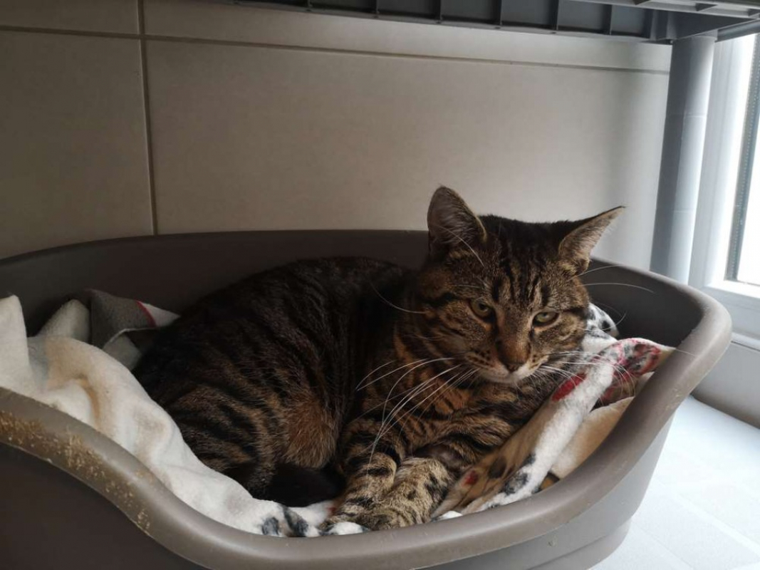 Photo #2 de Réservé biarritz