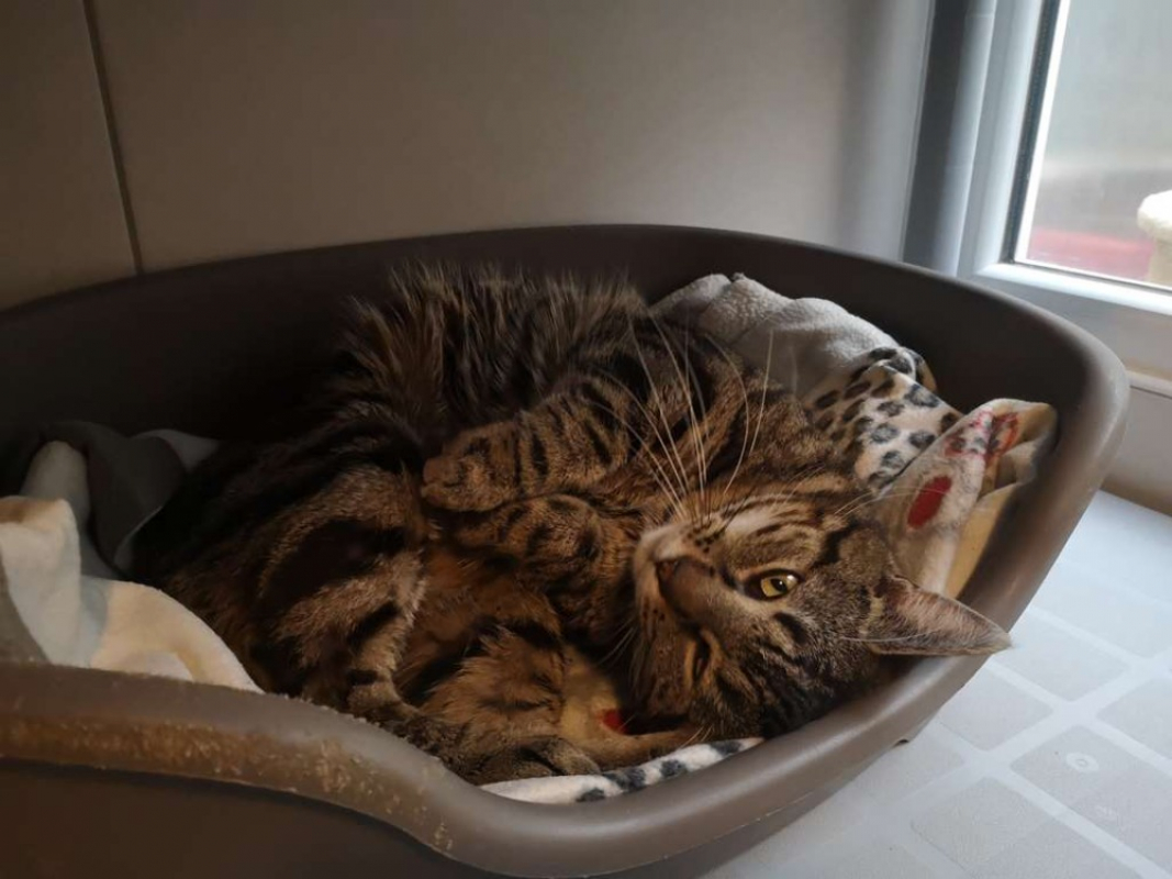 Photo #3 de Réservé biarritz