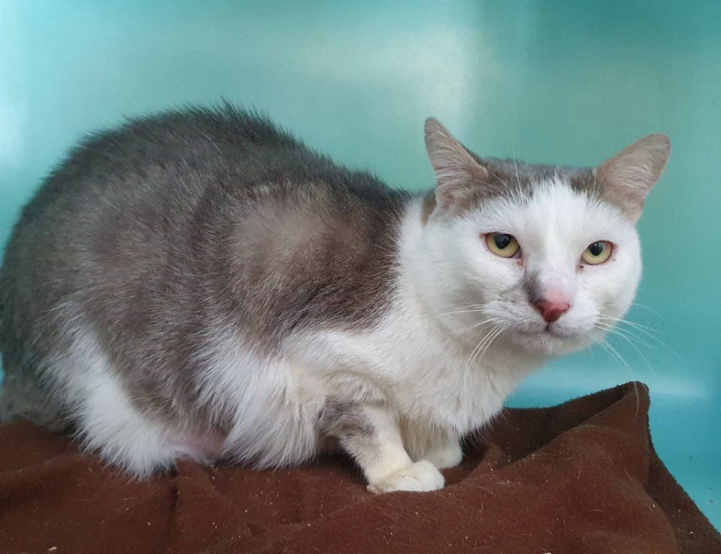 Photo #1 de Jean eric