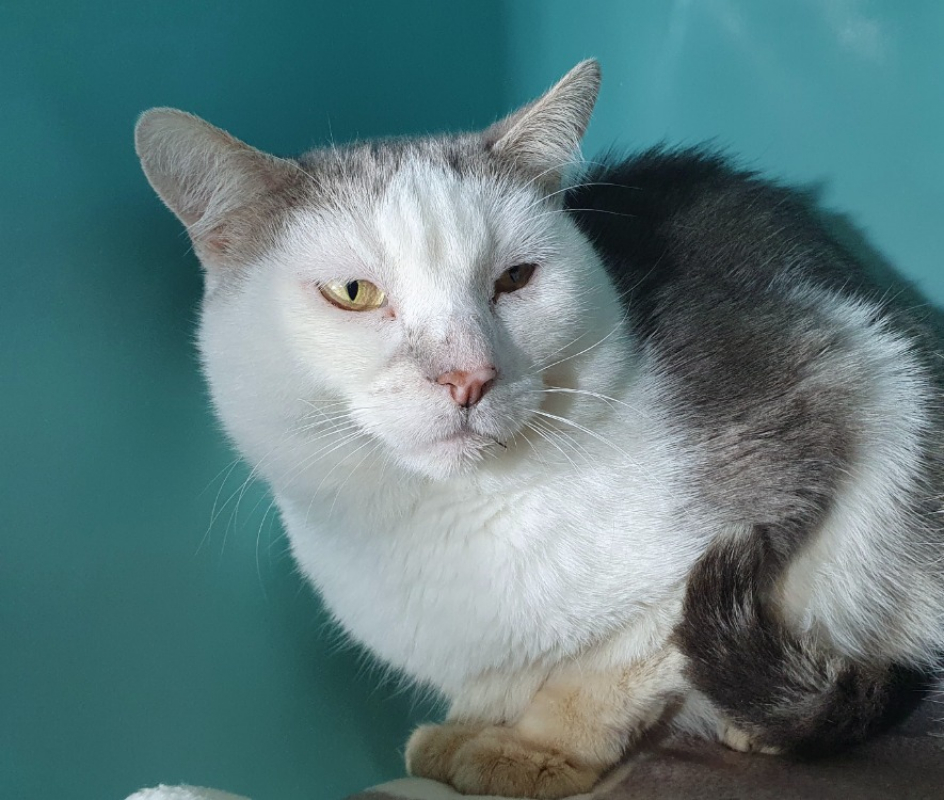 Photo #2 de Jean eric