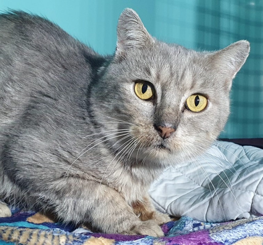 Photo de Francois cha