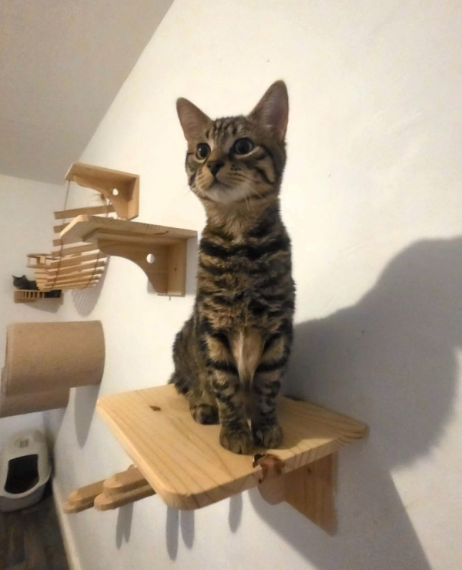 Photo #2 de Valentin