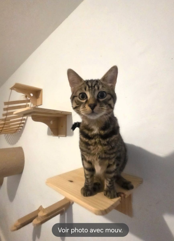 Photo #3 de Valentin