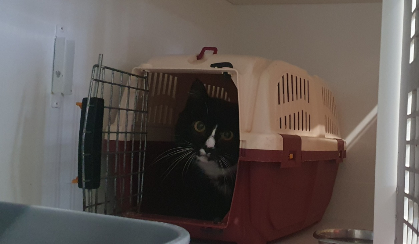 Photo #2 de Séraphin