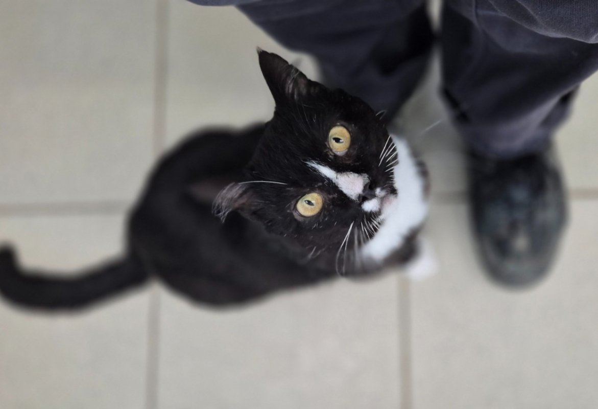 Photo #1 de Séraphin