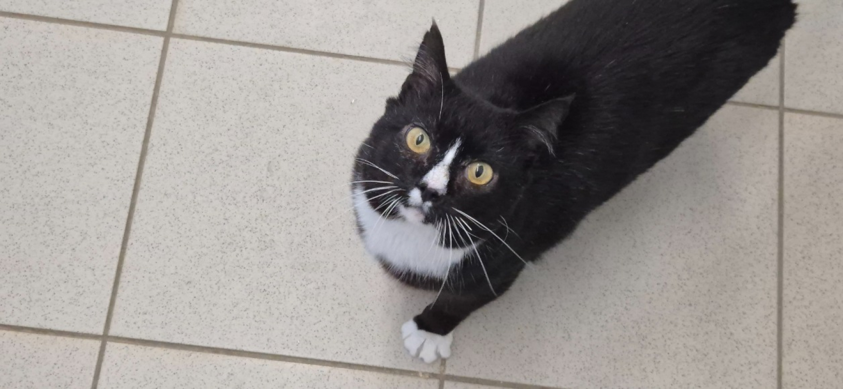 Photo #2 de Séraphin