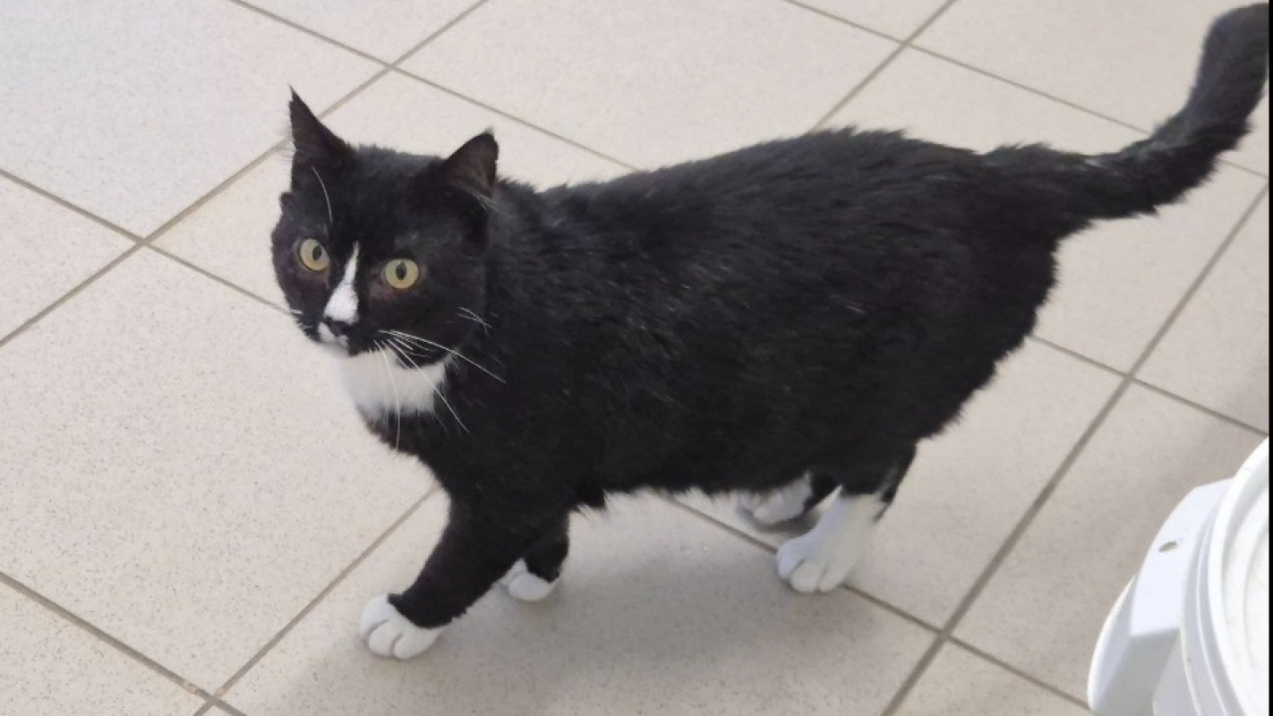 Photo #4 de Séraphin