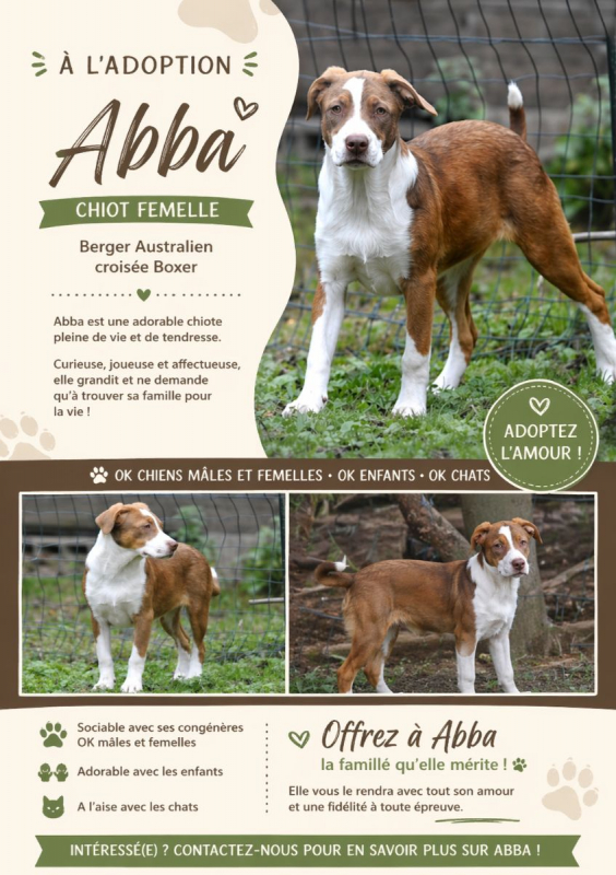 Photo de Abba
