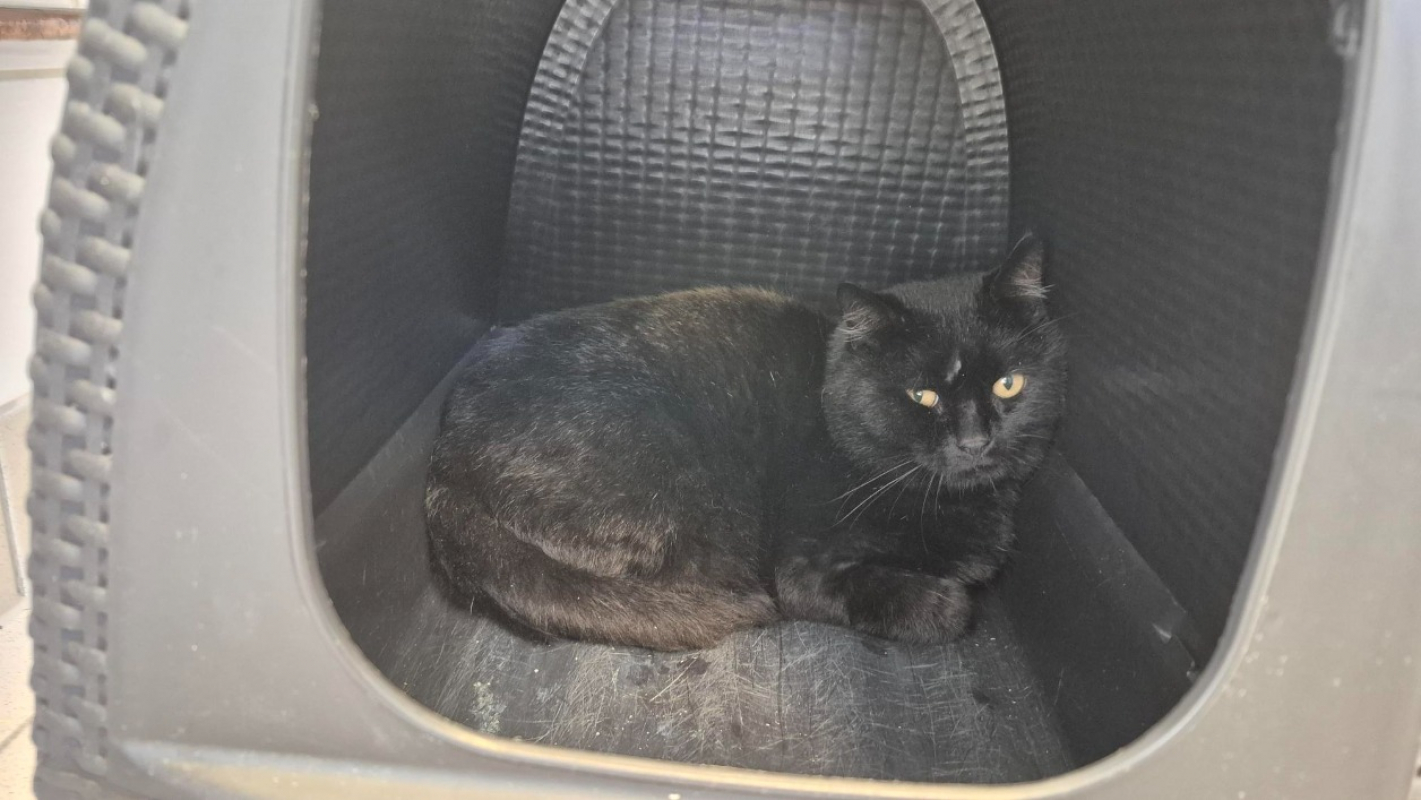 Photo de Salem