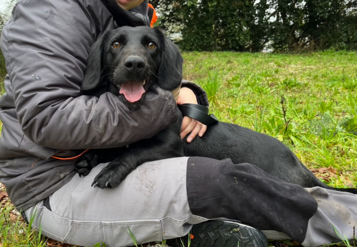 Photo #2 de Princesse