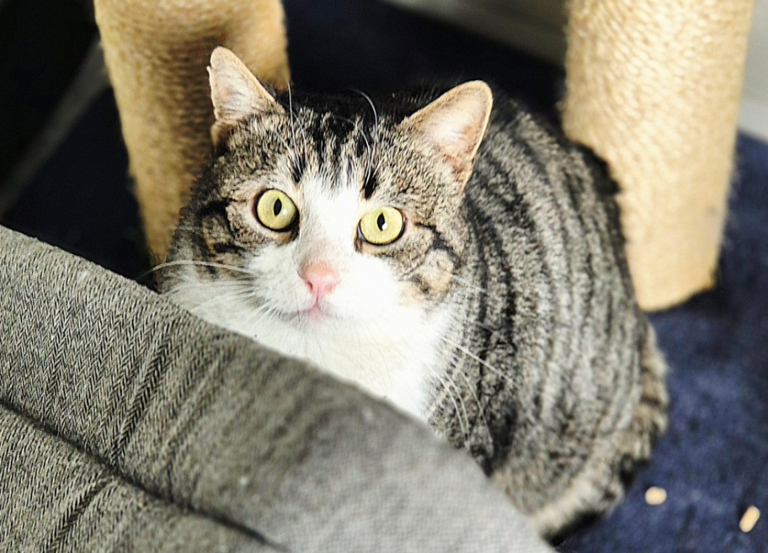 Photo #2 de Forrest gump