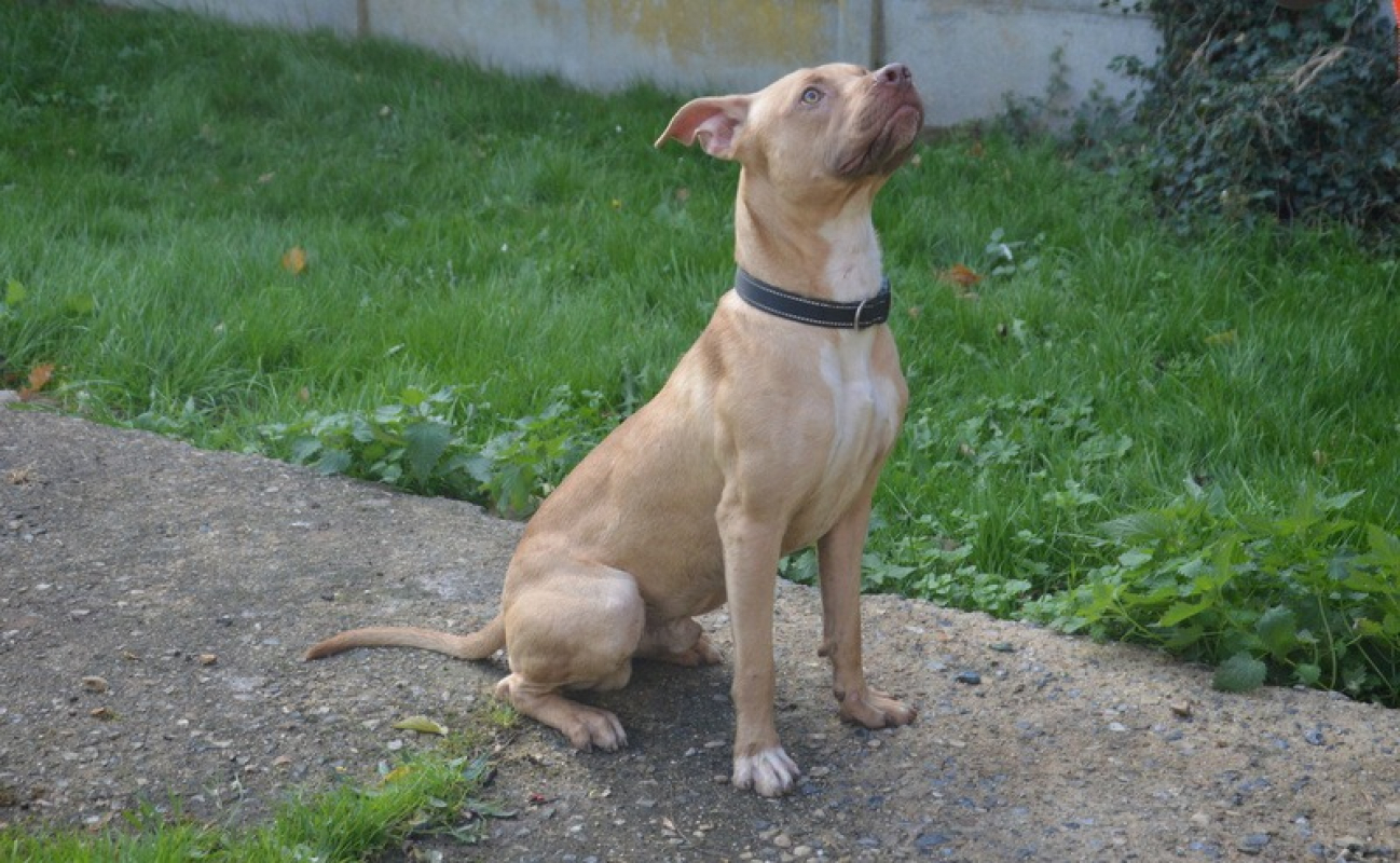 Photo #2 de Xatidou
