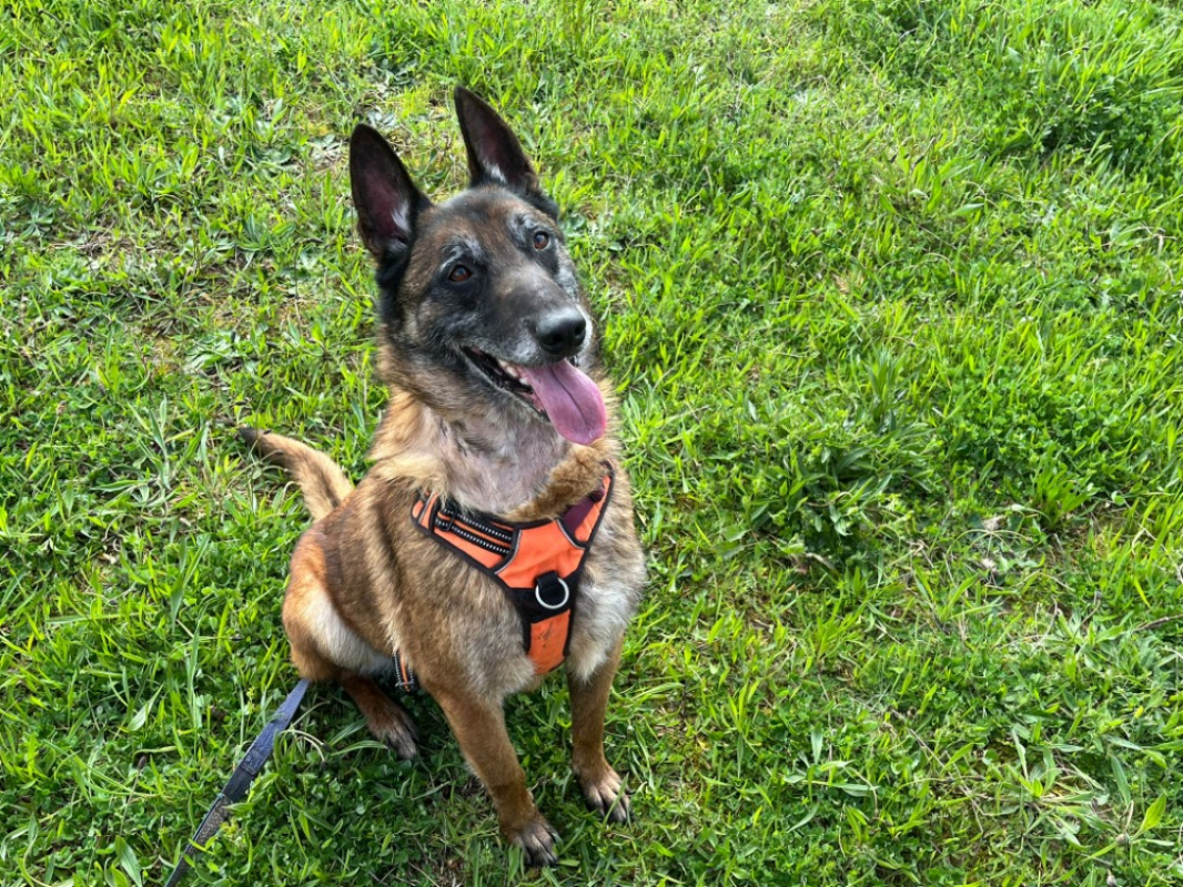 Photo #3 de Black ii