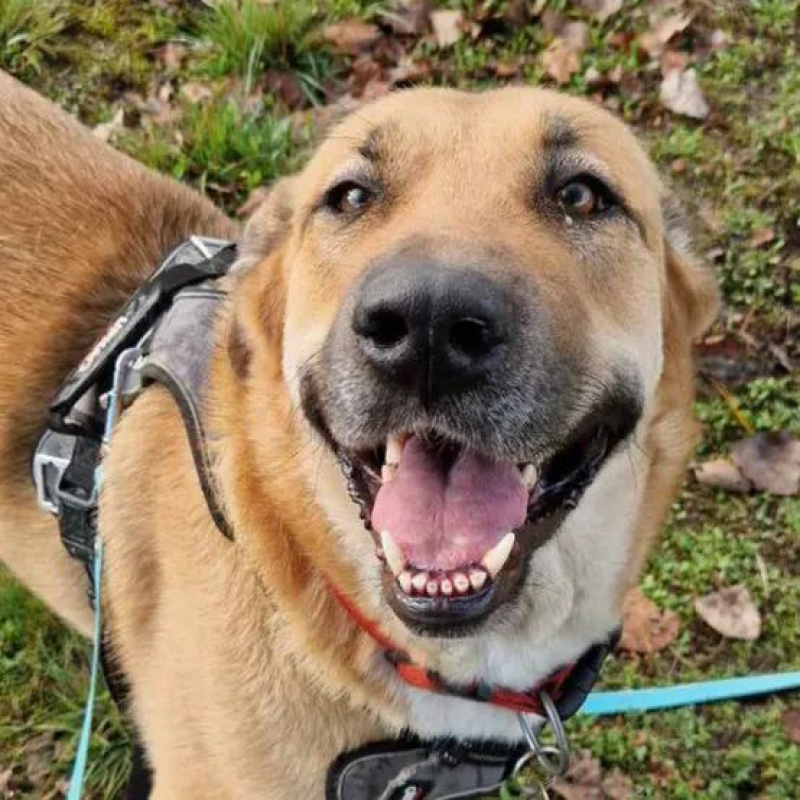 Photo #3 de Julietta