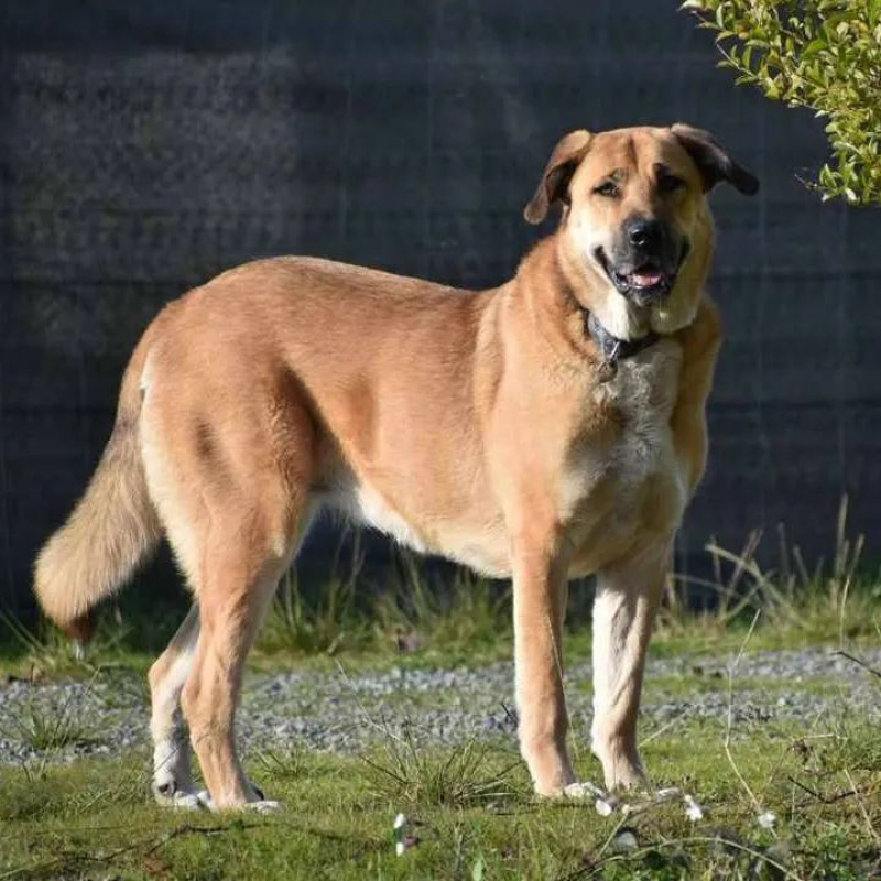 Photo #4 de Julietta