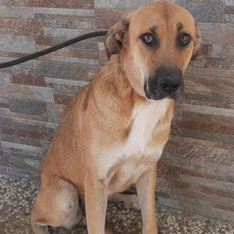 Photo #5 de Julietta