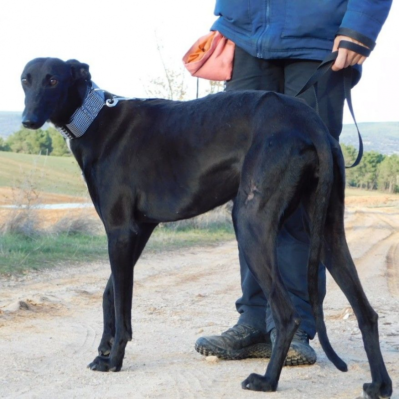 Photo #5 de NANI 2 ans, une beauté noire