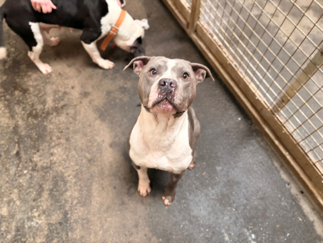 Photo #4 de Uber