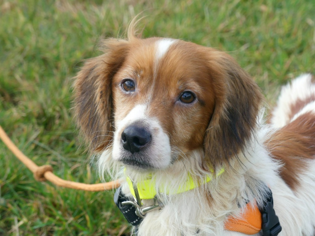 Photo #1 de Tobby réservé