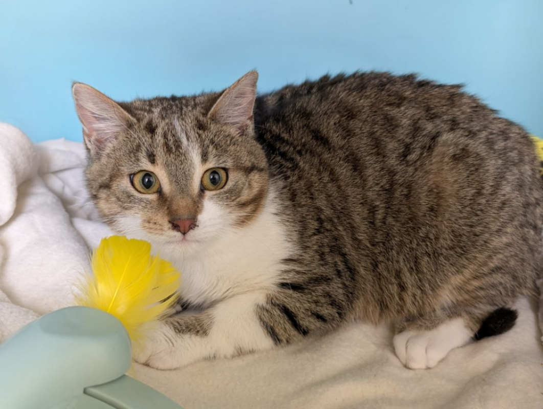 Photo #1 de Cleopatre