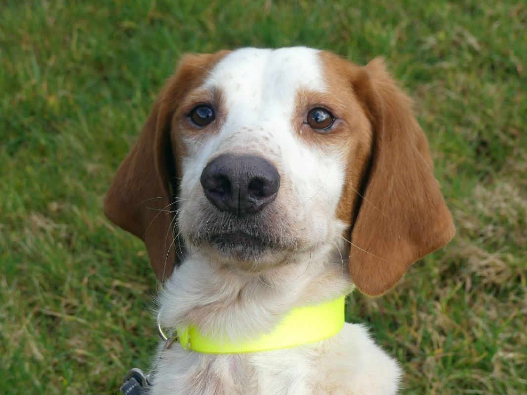 Photo #1 de Octano réservé