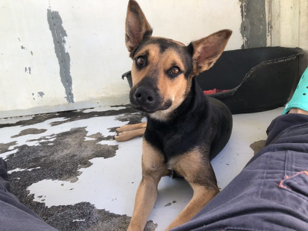 Photo #1 de Serenade