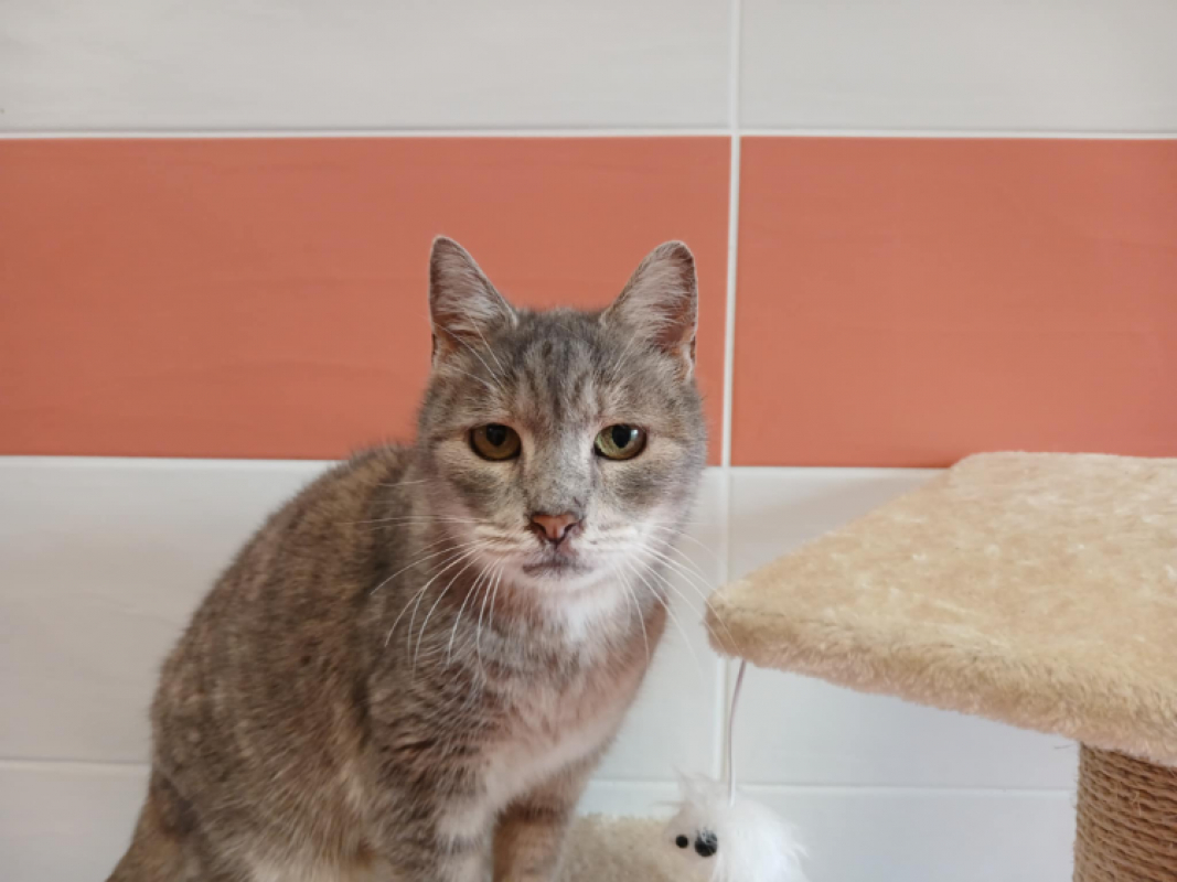 Photo #1 de Anouchka